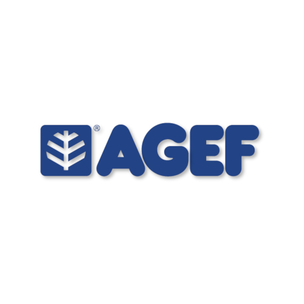 Scopa Regolabile per Foglie 130 cm AGEF - Manico Legno e Testa in Acciaio